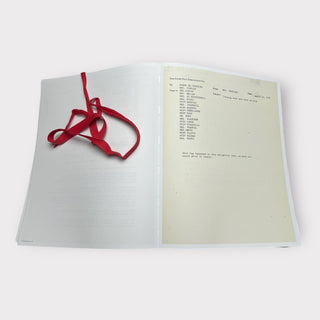 Visionaire 37: Vreeland Memos available at Fonfrege.com