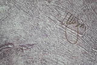 Artist: signed, illegible Date: 1990s Medium: print, signed and numbered Dimensions: 20"x0.75"x26" each (L x W x H).  Pair, set of 2.  Format: Framed. May be removed from frame upon request. Available at fonfrege.com